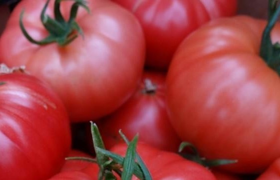 pomidor-malinowy1.jpg